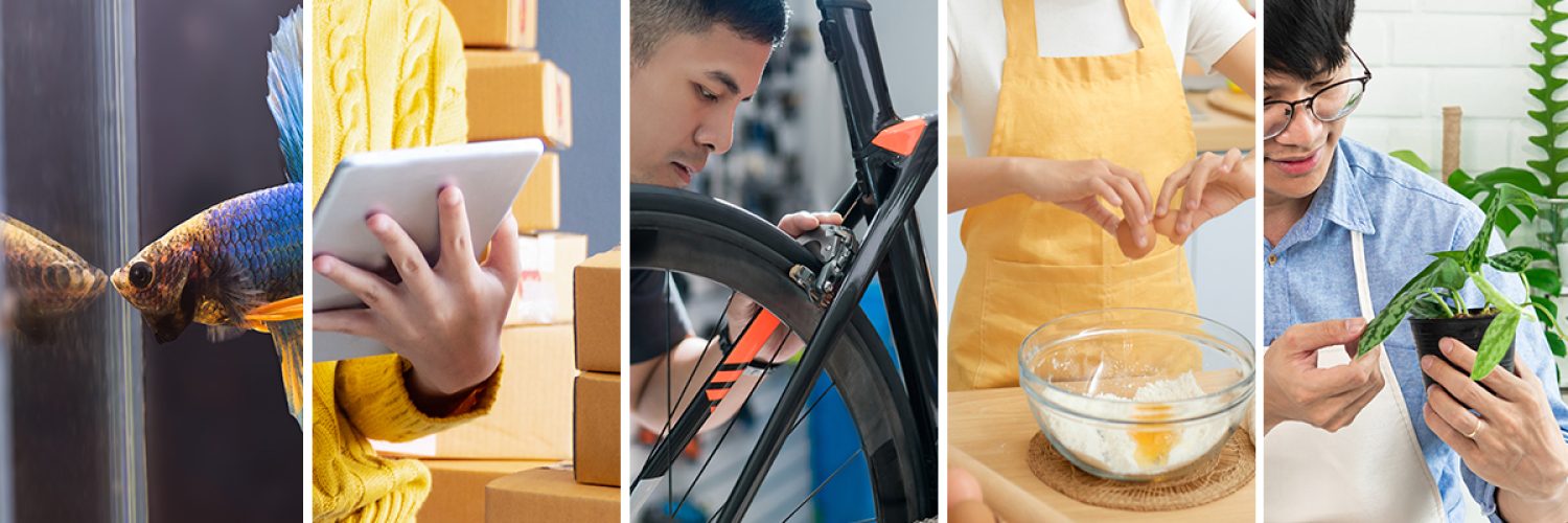 hobi yang menguntungkan di masa pandemi